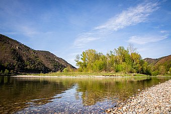Donau bei Aggsbach Dorf (c) Lachlan Blair Donau bei Aggsbach Dorf (c) Lachlan Blair