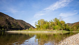 Donau bei Aggsbach (c) Lachlan Blair Donau bei Aggsbach (c) Lachlan Blair