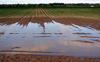 Starkregen stellt auch für dei Landwirtschaft eine Herausforderung dar. Starkregen stellt auch für dei Landwirtschaft eine Herausforderung dar.